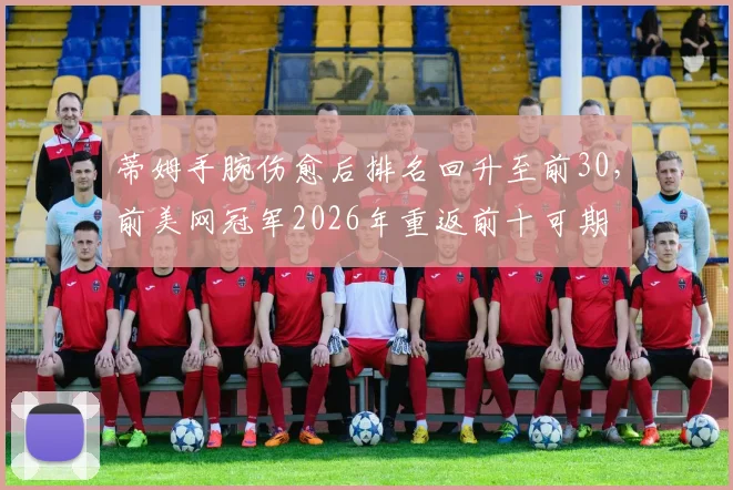 蒂姆手腕伤愈后排名回升至前30,前美网冠军2026年重返前十可期